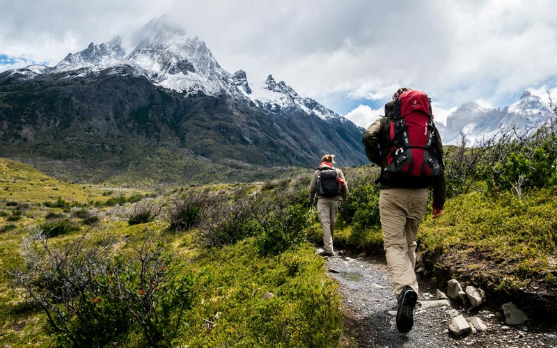 Two hikers with rucksacks are walking along a narrow trail in an open area of greenery. In the distance there are large snow-capped mountains.